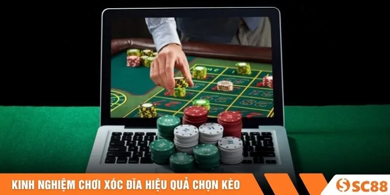 Kinh nghiệm chơi xóc đĩa hiệu quả chọn kèo
